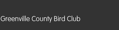 Greenville County Bird Club banner