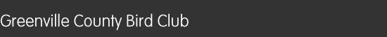 Greenville County Bird Club
