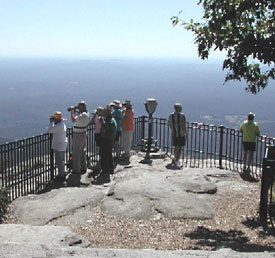birders searching for hawks