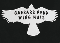 wingnuts